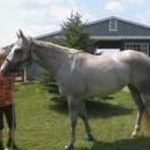 Meet your Posher, Sandy